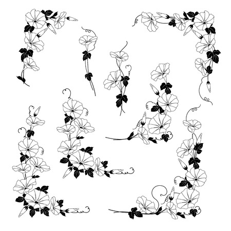 Japanese style morning glory decoration diameterのイラスト素材