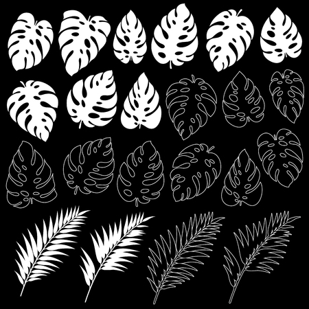 Tropical plant illustration material,のイラスト素材