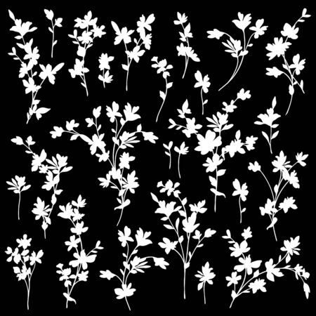 Vector illustration material of a beautiful flowerのイラスト素材