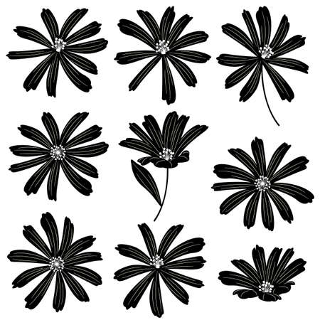 Vector illustration material of a beautiful flower,のイラスト素材