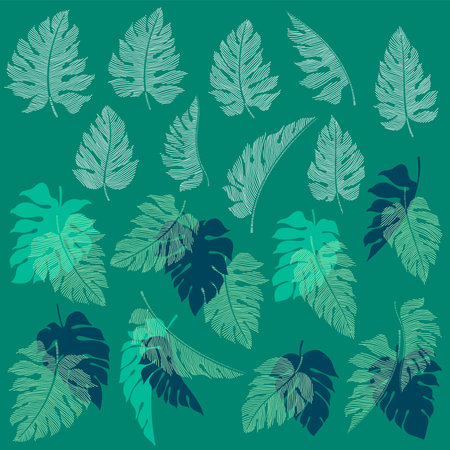 Abstract tropical plant material collection,のイラスト素材