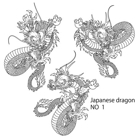 Japanese classical dragon material collection,のイラスト素材