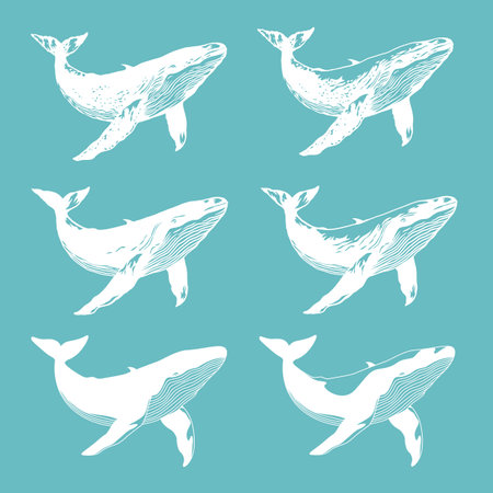 Set of whales. Isolated on blue background. Vector illustration.のイラスト素材