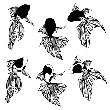 Goldfish. Black and white vector illustration. Isolated on white background.のイラスト素材