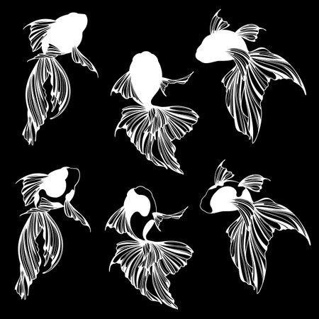 Goldfish. Set of black and white silhouettes of goldfish.のイラスト素材
