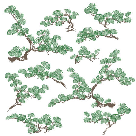 Pine tree drawn using Japanese painting techniques,のイラスト素材