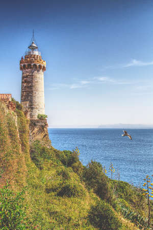 view of the lighthouse on the Elba islandの写真素材