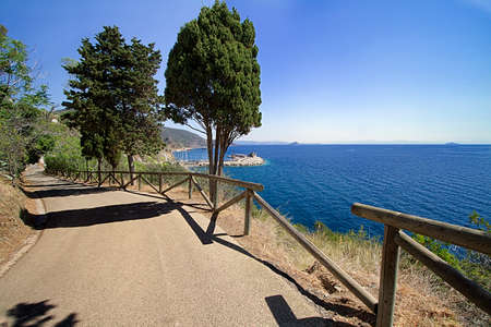 this road is called 'the path of love'の写真素材