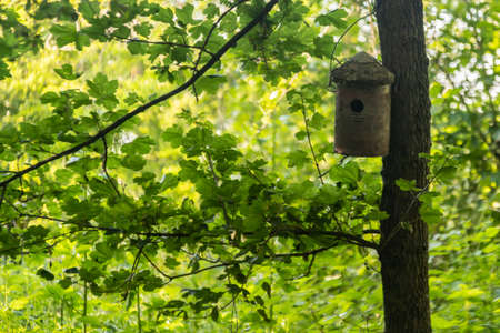 small house for birds in the forest made by handの写真素材