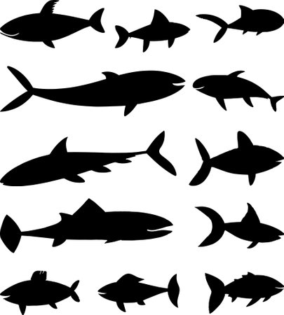 Set of fish silhouettes. Vector illustration isolated on white background.のイラスト素材