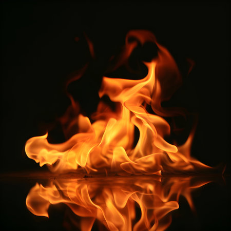 fire flames on a black background fire flames on a black backgroundの素材