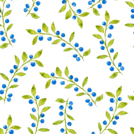 Beautiful floral seamless pattern with hand drawn watercolor berries and leaves on white background. Illustration of blueberry berries and branches.の写真素材