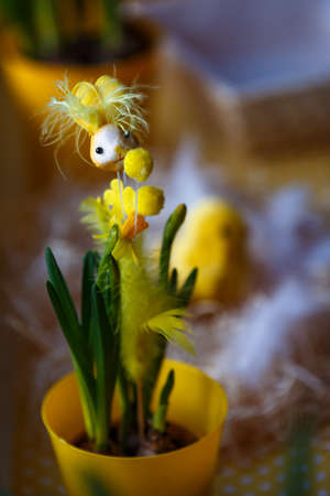 Easter theme, Easter decorations. Chicken and egg shell. Pictures for Easter.の写真素材