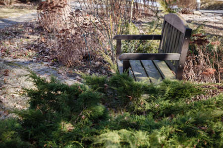 The dirty garden in the early spring. Arrange the garden after the winter snow. Sit down and think Brown garden bench, a cobbled track.の写真素材
