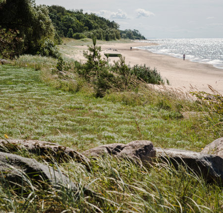 Coastal landscape of the Baltic Sea, green area, sandy beach and sea, selective focus.の写真素材