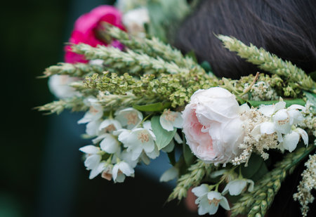Rose white flower with pink center solstice in crown; focus and sharpness on this flower.の写真素材