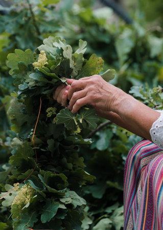 A woman's hands braid a wreath, a summer solstice tradition, a wreath of cornflowers and other field flowers, the process of making a wreath.の写真素材