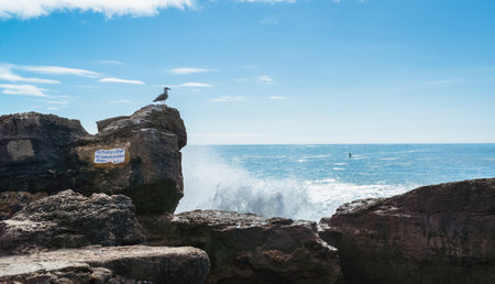 Atlantic Ocean waves whipping white foam against the rocky shore, Ericeira, Portugal.の写真素材