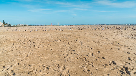 Atlantic Ocean coast in Figueira da Foz city, Coimbra District of Portugalの写真素材