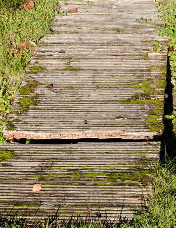Wooden walkway in the garden with moss and lichen.の写真素材