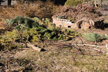 Spring garden work by thinning and pruning bushes and tree branches by cutting the thickest ones...