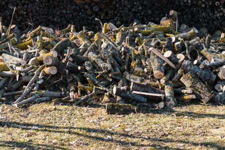 Sawn logs of firewood in a large pile on the ground, sunny spring day.