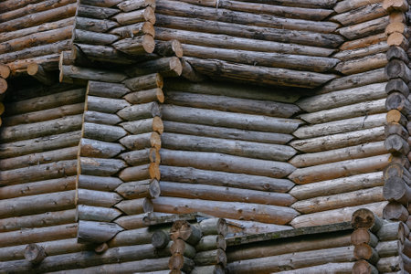 Close-up of a fragment of a wooden log cabin wall, Latvia.の写真素材
