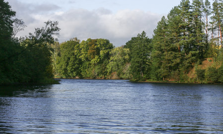 Forests with large trees on both banks of the river; a bend in a wide river; the sky is cloudy.