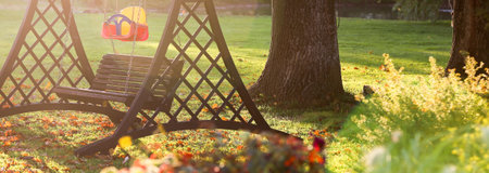 Autumn landscape in a home garden with a sunlit swing and the thick trunks of oak trees; selective focus.の写真素材
