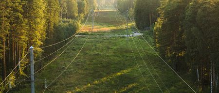 Two power lines in one wide strip run through the forest. Perfectly maintained clean strip between...