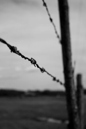 A cold grey scene shows a barbed wire fence up close.の写真素材