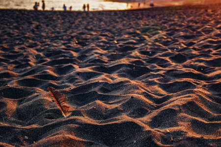 Sunset and feathersの写真素材