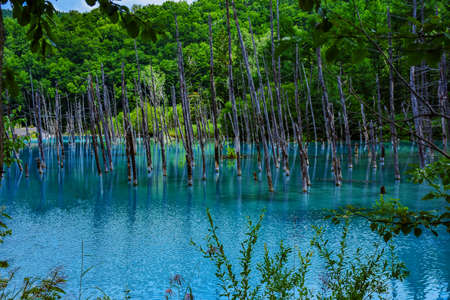 Blue pondの写真素材