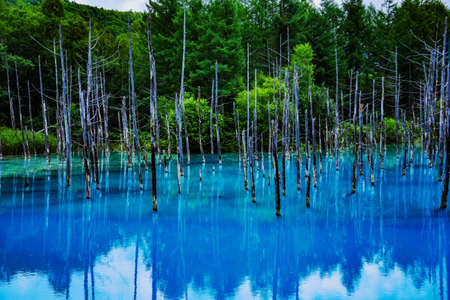 Blue pondの写真素材