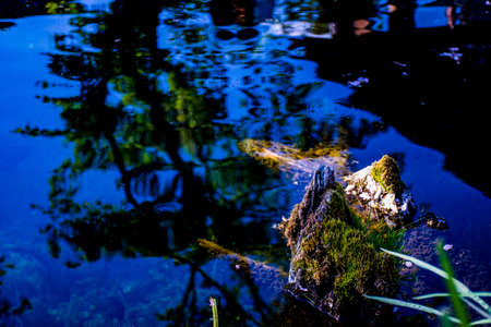 Beautiful pondの写真素材