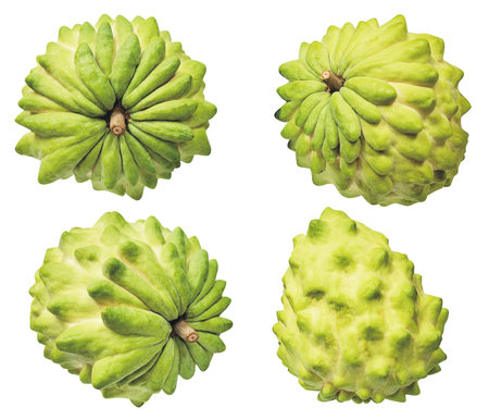 Collection of custard apple isolated on white background with clipping path.の写真素材