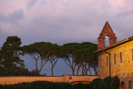 Italy, Florence - November 01 2016: view of the fragment of the San Miniato al Monte Church with umbrella pines at dusk on November 01 2016 in Florence Italy.の写真素材