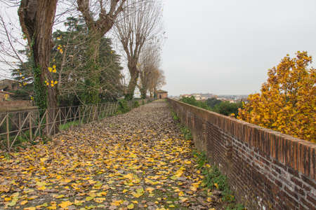 The view of autumn landscape with fallen yellow leaves on a path in the Medici Fortress of Santa Barbara. Pistoia. Tuscany. Italy.の写真素材