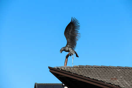 View of the decorative ironwork sculpture Eagle on the roof on Veneto, Italy.