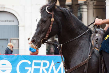 Italy, Brescia - October 01 2017: the view of the traditional knight tournament at celebrations of Caterina Cornaro is coming to the city, medieval festival in Brescia on October 01 2017, Lombardy, Italy.のeditorial素材