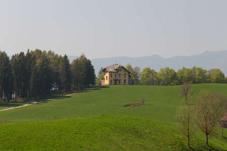 The view of classic rural landscape. Summer landscape with green field with house and trees on...