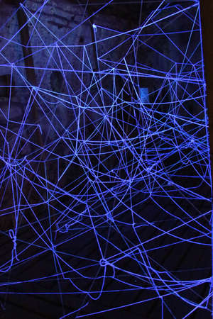 The view of dark blue neon cobweb. Abstract background.