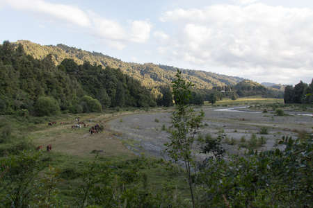 The view of picturesque landscape with Tauranga river in Matahi Valley, New Zealand.