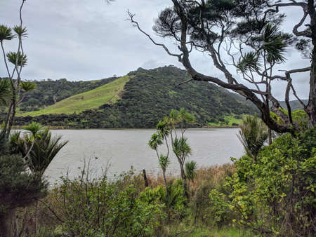 The view of picturesque landscape at lake Wainamu, New Zealand.