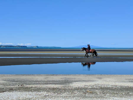 The view of picturesque landscape with two persons riding horses at Okura Beach, Auckland, New Zealand.の写真素材
