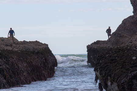 The view of rocky coastline at low tide, New Zealand.の写真素材