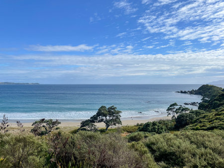 The view of beach and blue sea at Tawharanui Regional Park in a sunny day, New Zealand.
