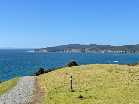 The view of Tawharanui Regional Park in a sunny day, New Zealand.