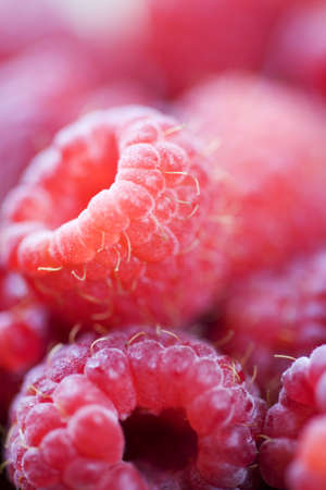 Macro View Of Fresh Raspberriesの写真素材