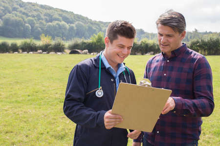 Farmer And Vet Having Discussion In Field Of Sheepの写真素材